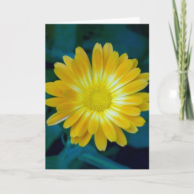 Tarjeta Envíe la flor a sus amigos que dura (Anverso)