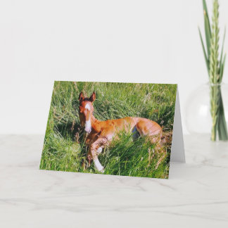 Tarjeta Epicacia de Weston