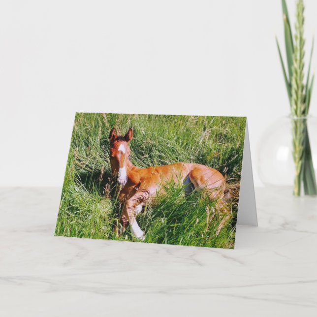 Tarjeta Epicacia de Weston (Anverso)