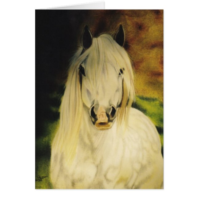 "Tarjeta equina del potro de Shetland" (Frente)