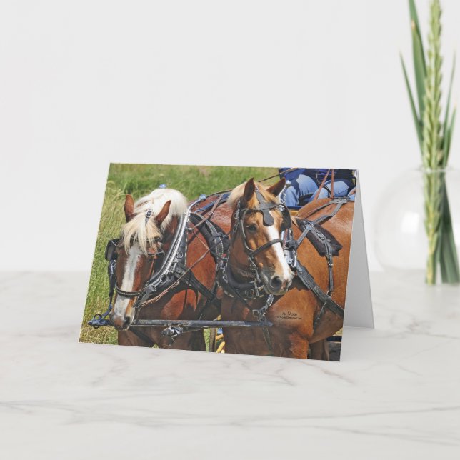 Tarjeta Equipo belga (Anverso)