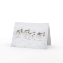 Equipo de Carreras del perro de trineo del husky