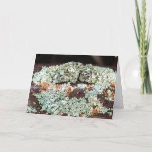 Tarjeta Equipo de granja rustre y crujiente