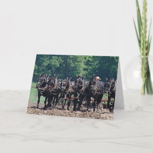 Tarjeta Equipo de seis caballos