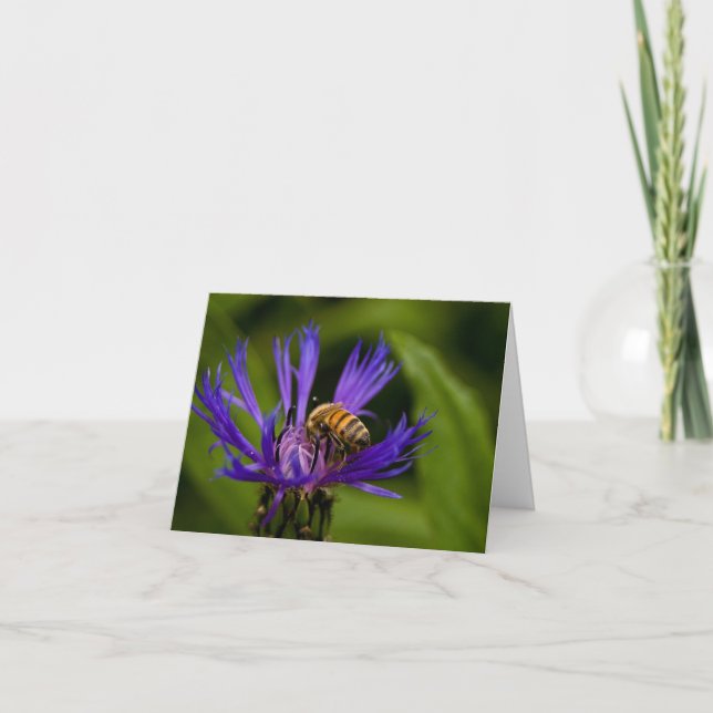 Tarjeta Eres dulce como un saludo de miel (Anverso)