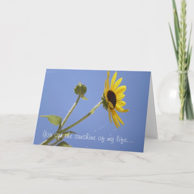 Tarjeta Eres el sol de mi vida... (Anverso)
