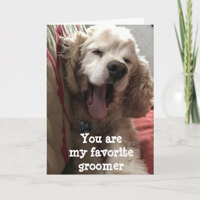 TARJETA ERES MI FAVORITO *GROOMER** CUMPLEAÑOS (Anverso)
