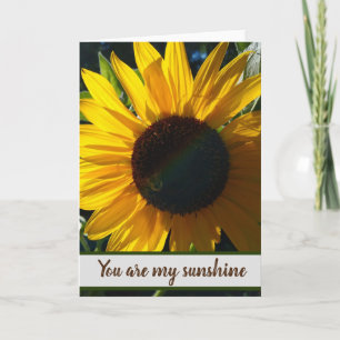 Tarjeta Eres Mi Sol - En Blanco Dentro
