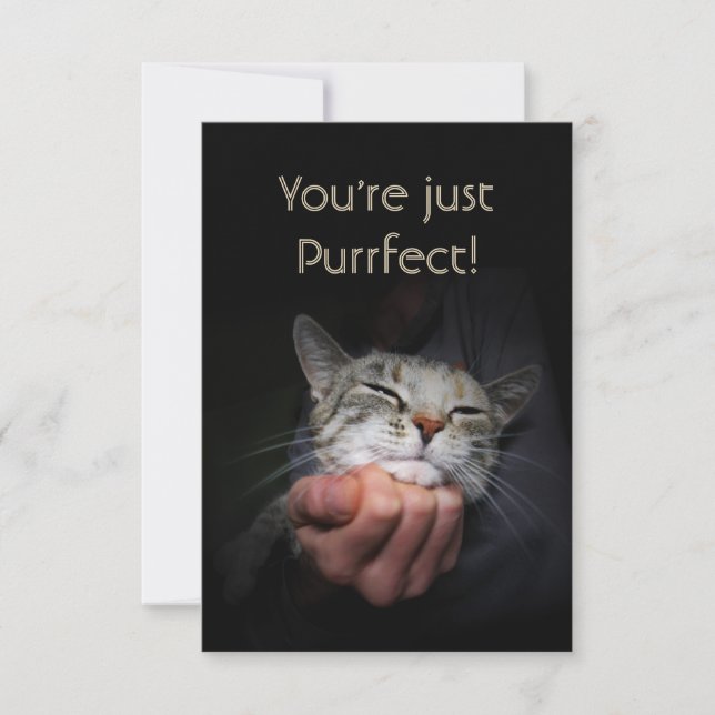 Tarjeta Eres sólo Purrfect (Anverso)
