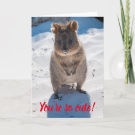 Tarjeta Eres tan lindo Quokka en el San Valentín de playa