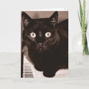 Tarjeta ¿Eres tan viejo?