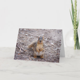 Tarjeta Eres un loco