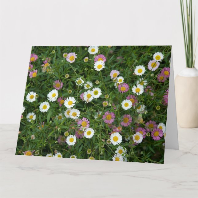 Tarjeta Erigeron (Anverso)