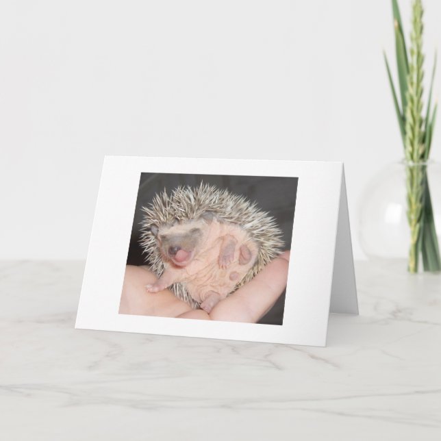Tarjeta Erizo Notecard (Anverso)