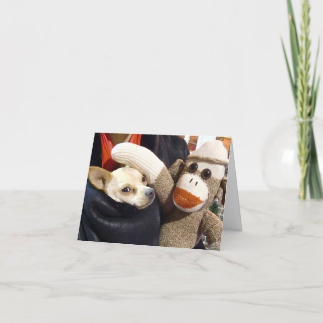 Tarjeta Ernie, el mono del calvo y la carta de Chihuahua (Anverso)