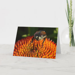 Tarjeta Error en la flor