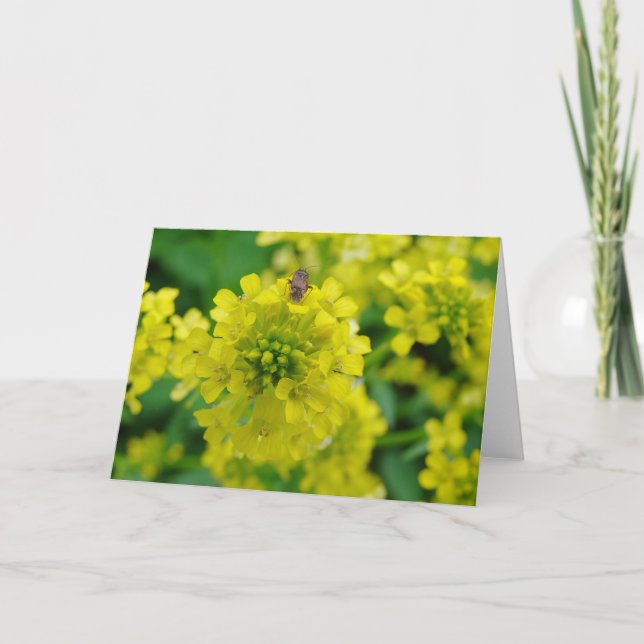 Tarjeta Error en la flor (Anverso)