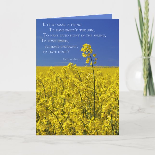 Tarjeta ¿Es algo tan pequeño? (Anverso)