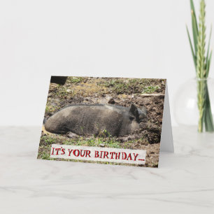 Tarjeta Es gracioso que tu cumpleaños sea un cerdo salvaje