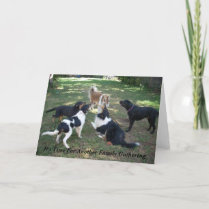 Tarjeta Es hora de otra reunión familiar