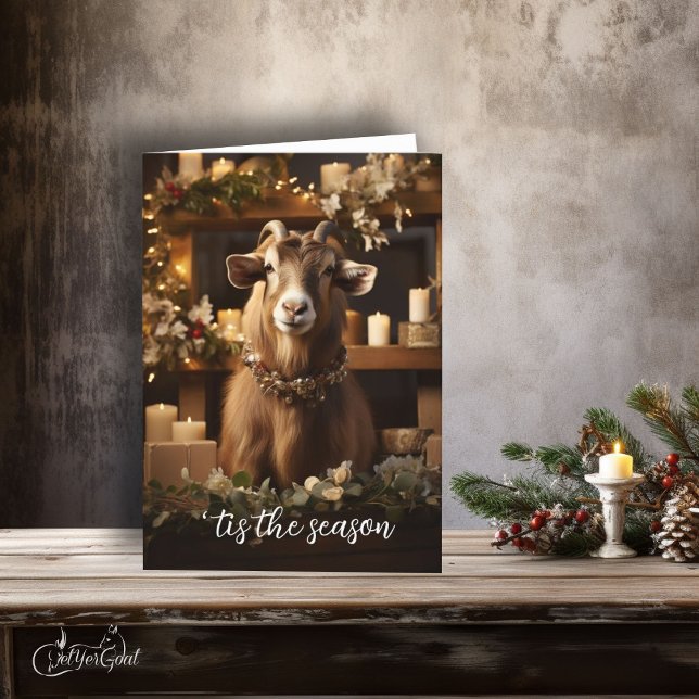 Tarjeta 'es la cabra de la temporada de Toggenburg (If you love goats - this is a great  Holiday card to send - festive and frame worthy #zazzlemade )