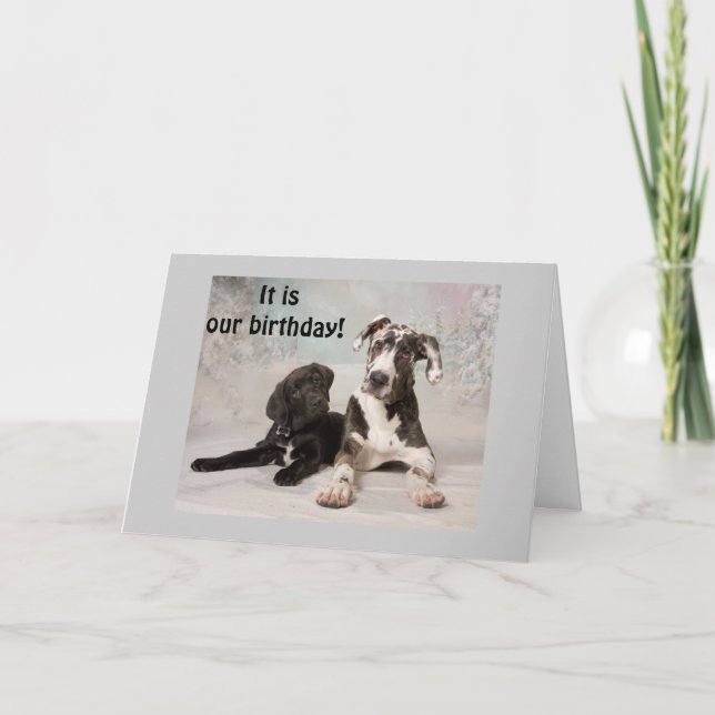 TARJETA ¡ES "NUESTRO" DÍA DE CUMPLEAÑOS GRANDES! (Anverso)