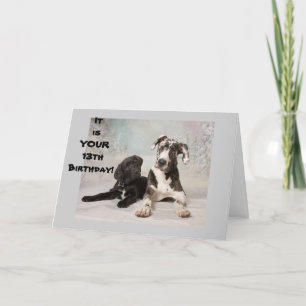 TARJETA ES OFICIALMENTE UN ADOLESCENTE **13º CUMPLEAÑOS**