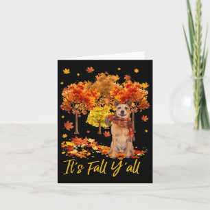 Tarjeta Es Otoño Todos Perro Boyero Australiano Árbol Cala