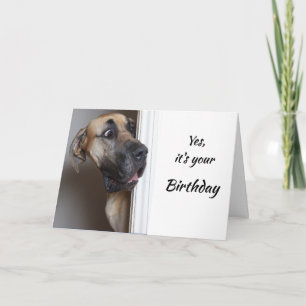 Tarjeta Es su humor del perro de great dane de la