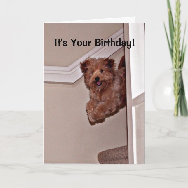 Tarjeta Es tu Mascota de perro feliz de cumpleaños emocion (Anverso)