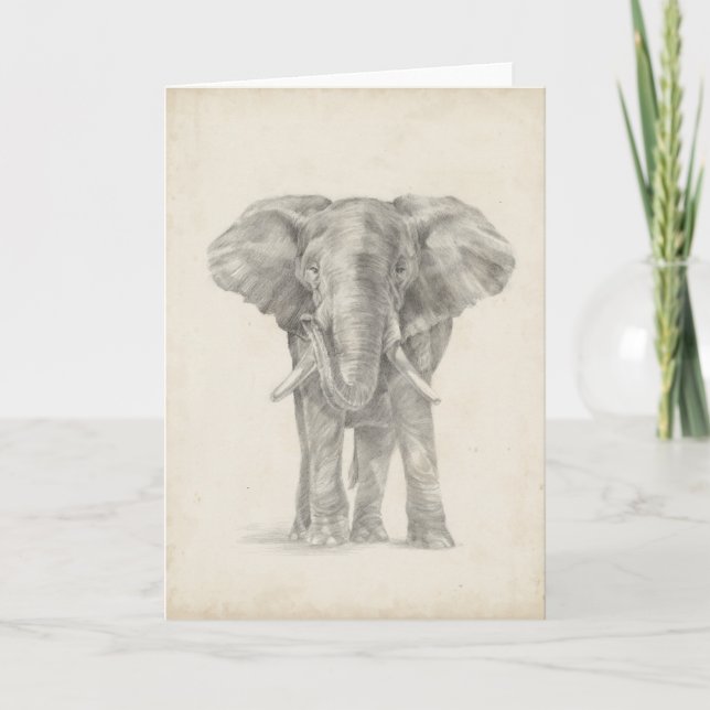 Tarjeta Esbozo elefante (Anverso)