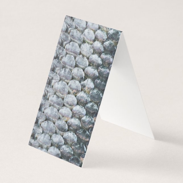 Tarjeta Escalas de Salmon brillantes (Anverso)