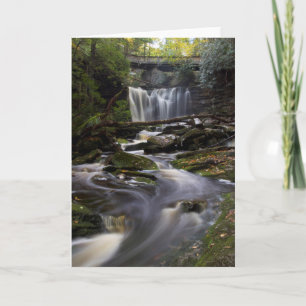 Tarjeta Escapar de la realidad