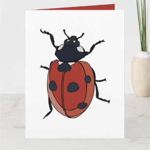 Tarjeta Escarabajos Insecto Mariquita Escarabajos
