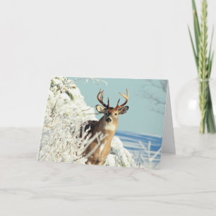 Tarjeta Escena De Invierno Del Gran Buck De Los Cernícalos