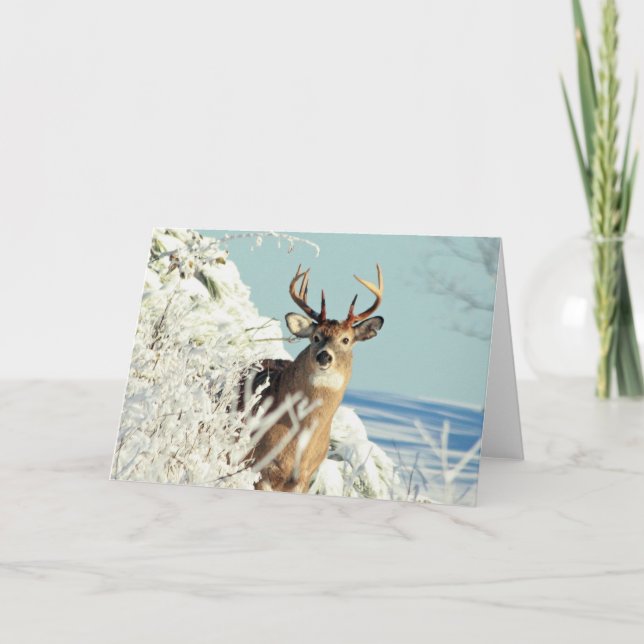 Tarjeta Escena De Invierno Del Gran Buck De Los Cernícalos (Anverso)