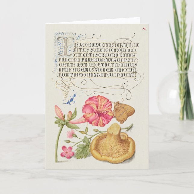 Tarjeta Escena de jardín con flores, mariposa y hongo (Anverso)