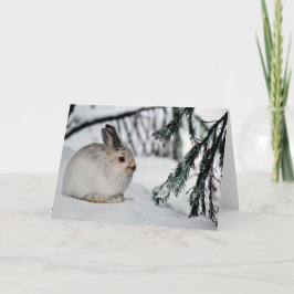 Tarjeta Escena de la naturaleza de la nieve en invierno de
