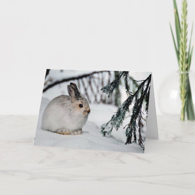 Tarjeta Escena de la naturaleza de la nieve en invierno de (Anverso)