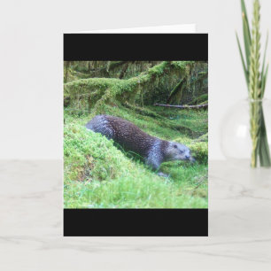 Tarjeta Escena de la Naturaleza de las Nutrias Ilustració