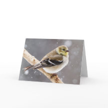 Escena de nieve de invierno - Goldfinch estadounid