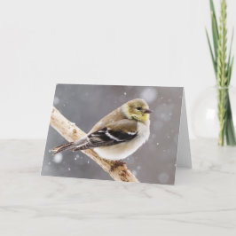 Tarjeta Escena de nieve de invierno - Goldfinch estadounid