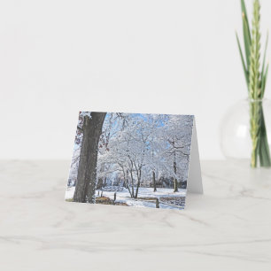 TARJETA "ESCENA DE PARQUE DE INVIERNO/PRIMERA CAÍDA DE NIE