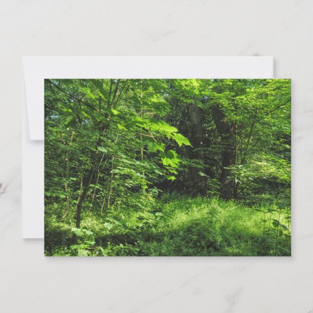 Tarjeta Escena de Woodland (Anverso)