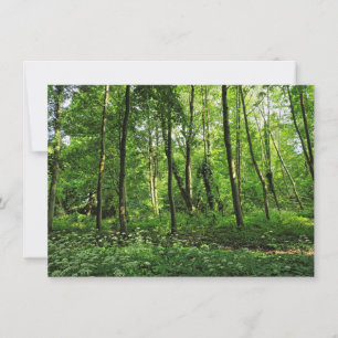 Tarjeta Escena de Woodland. Bosque de Blackweir, Cardiff