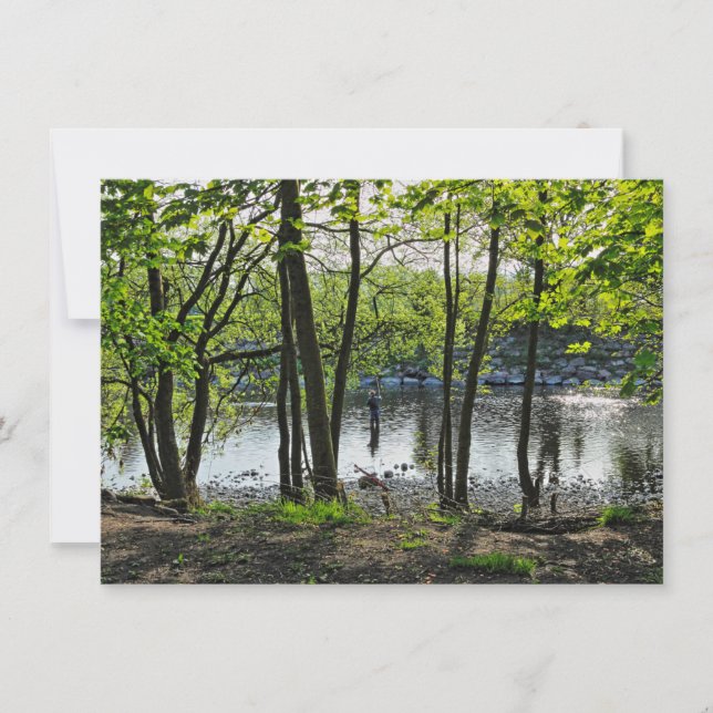 Tarjeta Escena de Woodland. Bosque de Blackweir, Cardiff (Anverso)