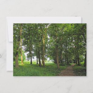 Tarjeta Escena de Woodland. Bosque de Blackweir, Cardiff