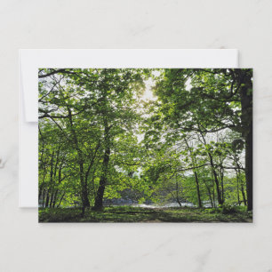 Tarjeta Escena de Woodland. Bosque de Blackweir, Cardiff
