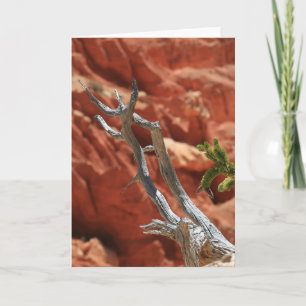 Tarjeta Escena del barranco de Bryce