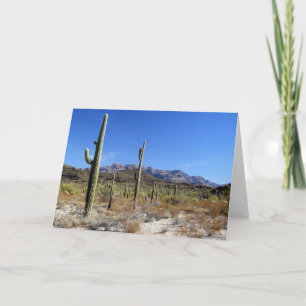 Tarjeta Escena del desierto de Sonoran 13